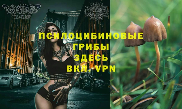 винт Беломорск