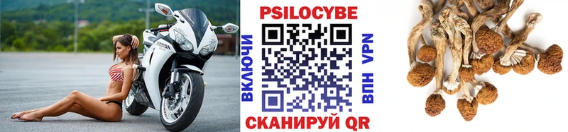 Псилоцибиновые грибы мухоморы купить наркотик Сухой Лог